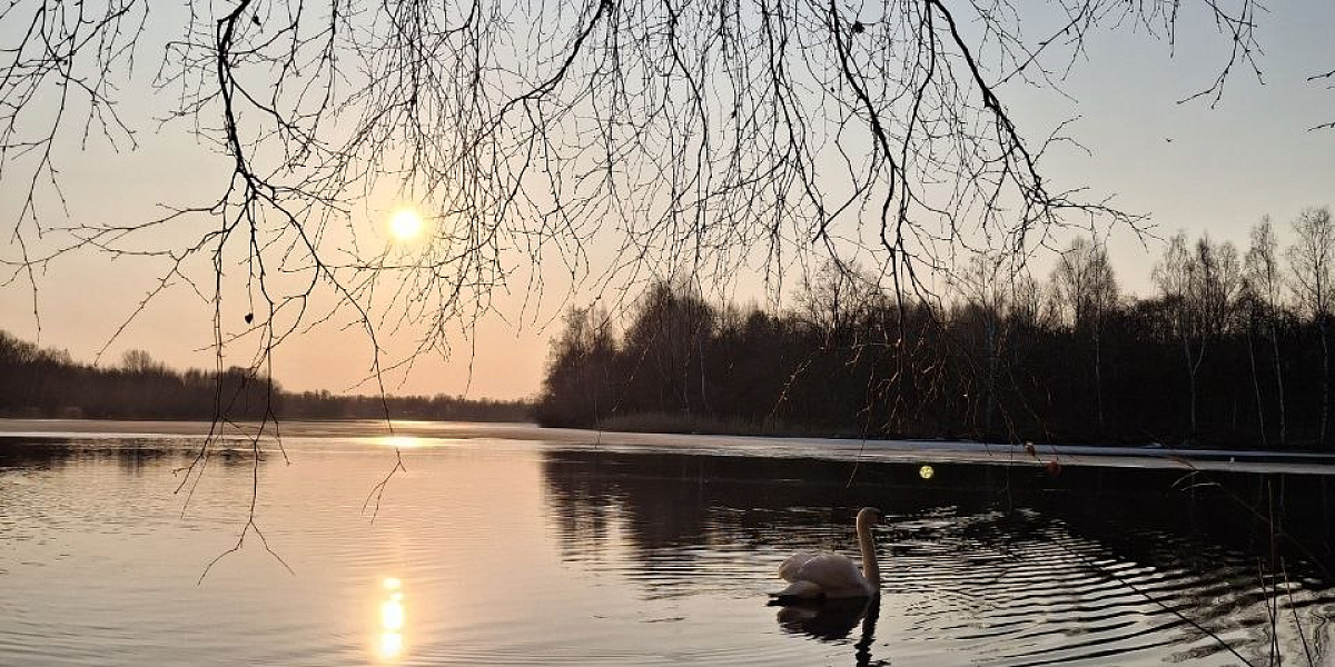   Вдохновляйся весной - твой уголок природы ждет!