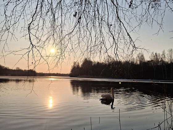   Вдохновляйся весной - твой уголок природы ждет!